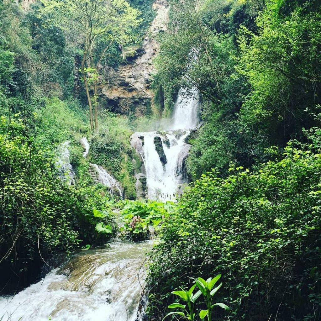 Bosco di San Francesco, Assisi - Foto FB FAI - Bosco di San Francesco