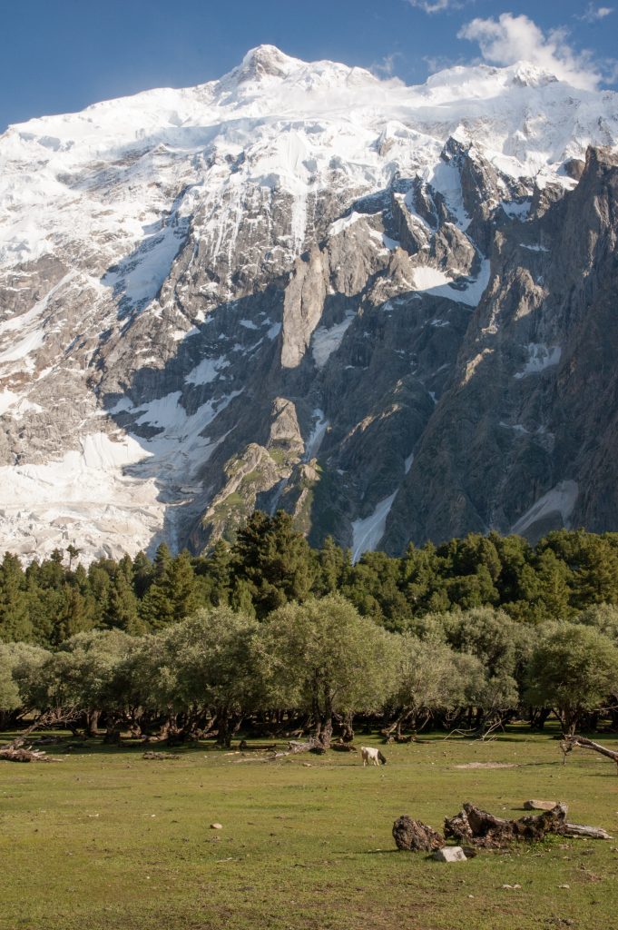 Foto @ Efrem Ferrari