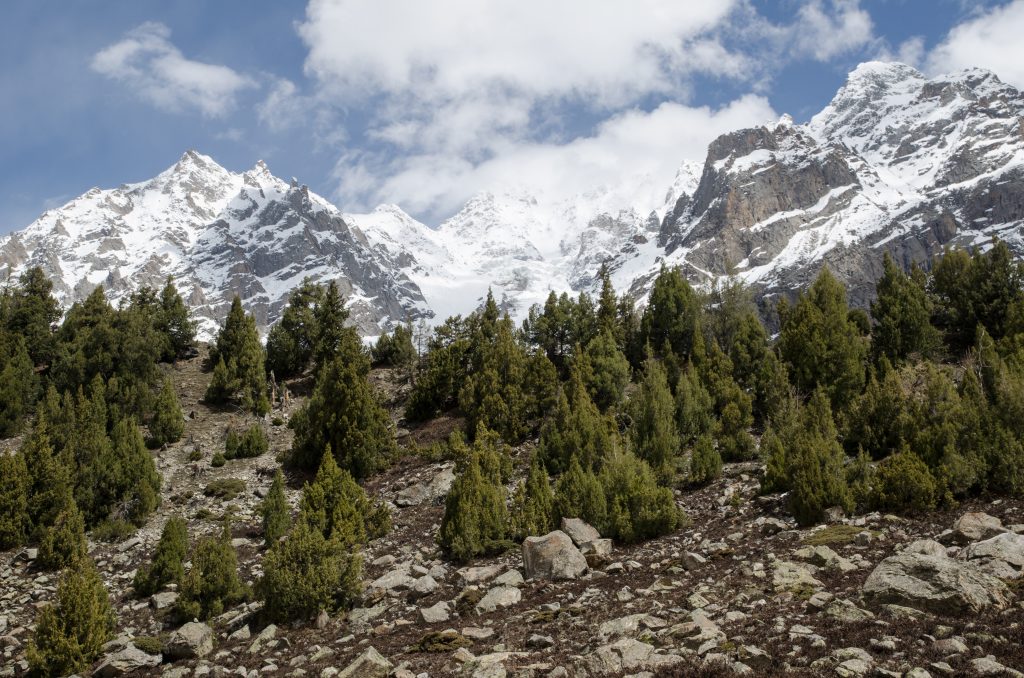 Foto @ Efrem Ferrari