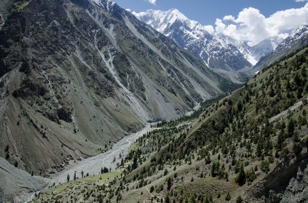 Foto @ Efrem Ferrari