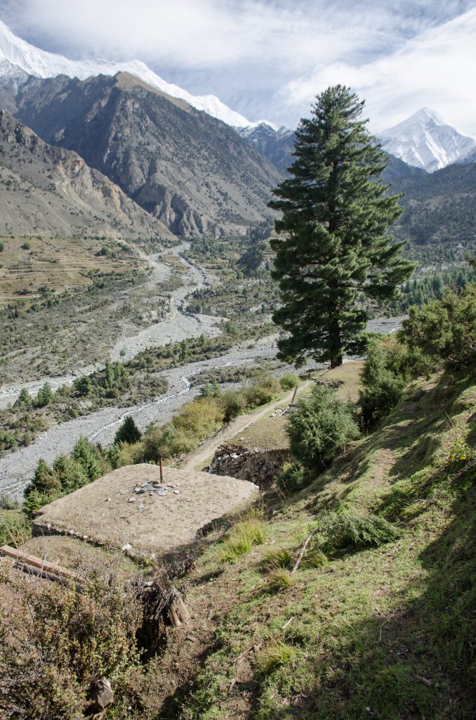 Foto @ Efrem Ferrari