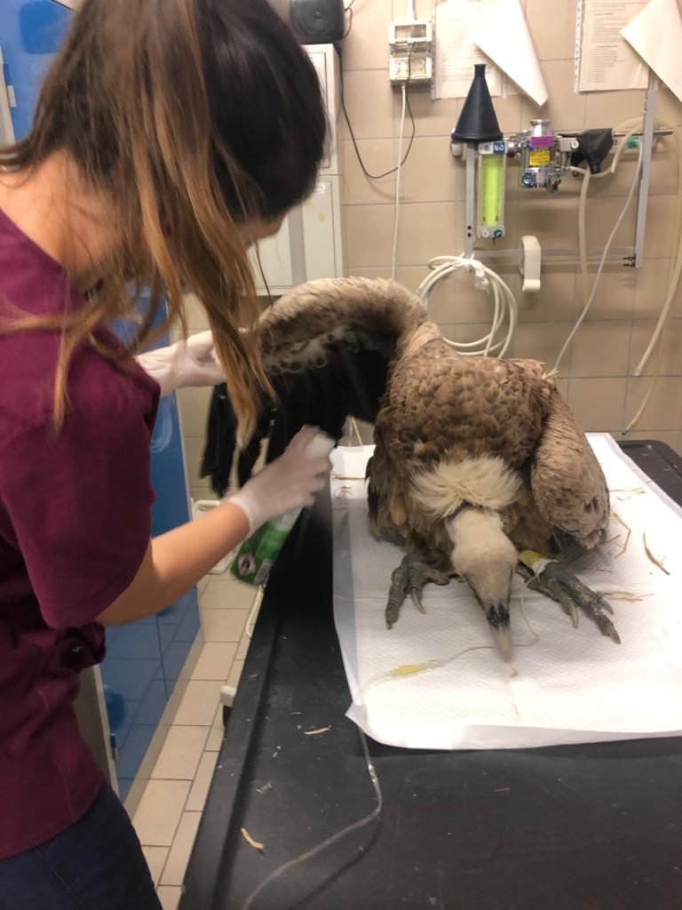 Foto @ Città metropolitana di Torino