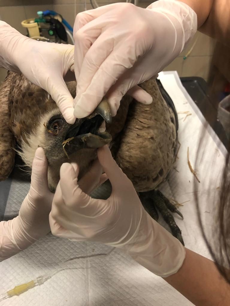 Foto @ Città metropolitana di Torino