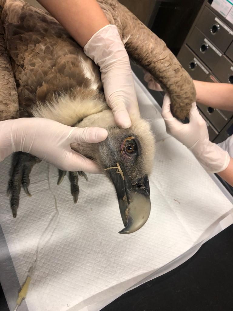 Foto @ Città metropolitana di Torino