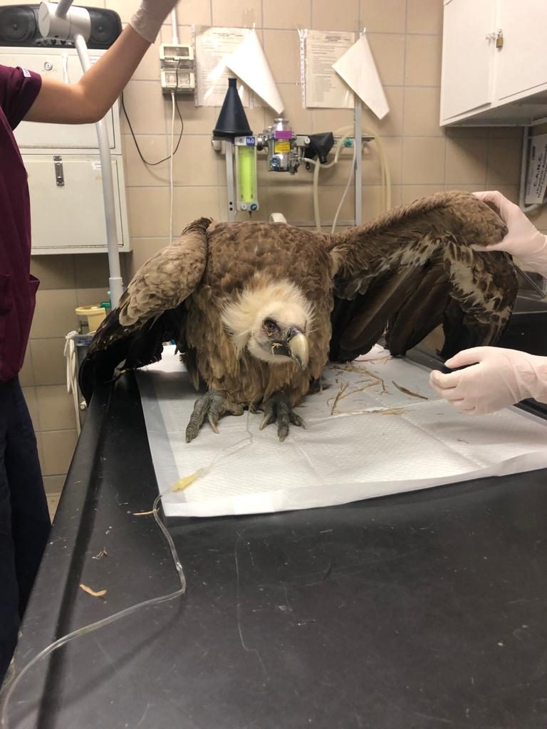 Foto @ Città metropolitana di Torino