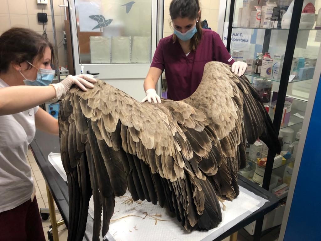 Foto @ Città metropolitana di Torino