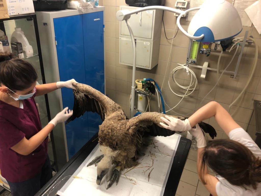 Foto @ Città metropolitana di Torino