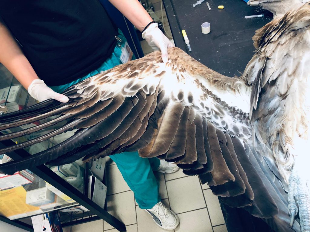 Foto @ Città metropolitana di Torino