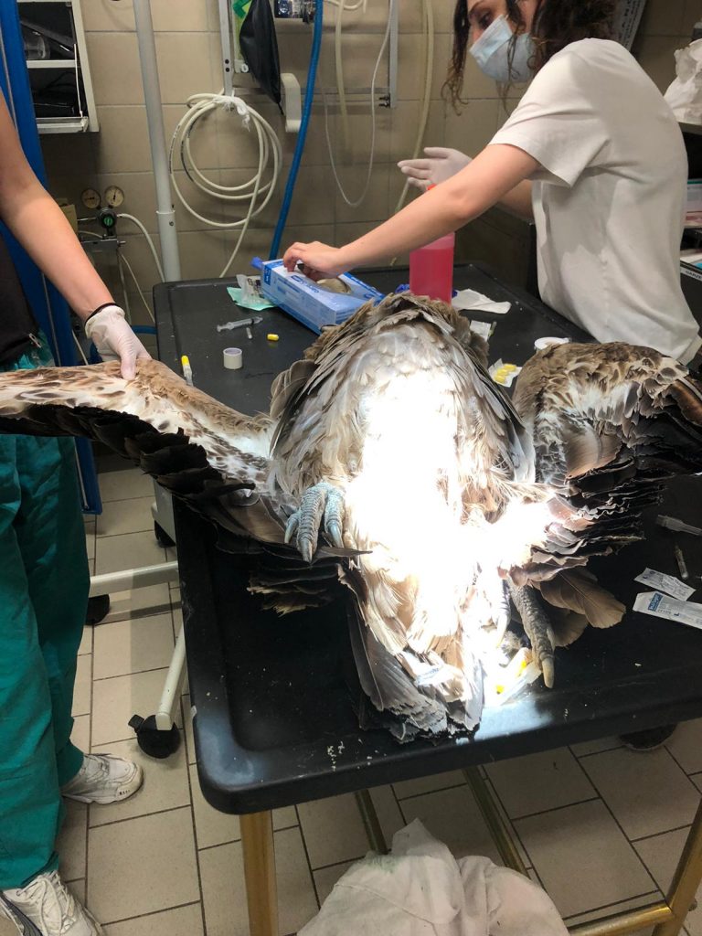 Foto @ Città metropolitana di Torino