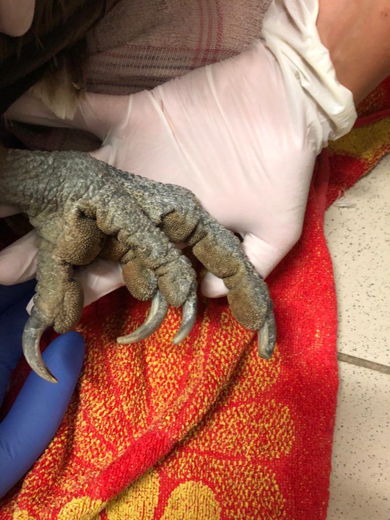 Foto @ Città metropolitana di Torino