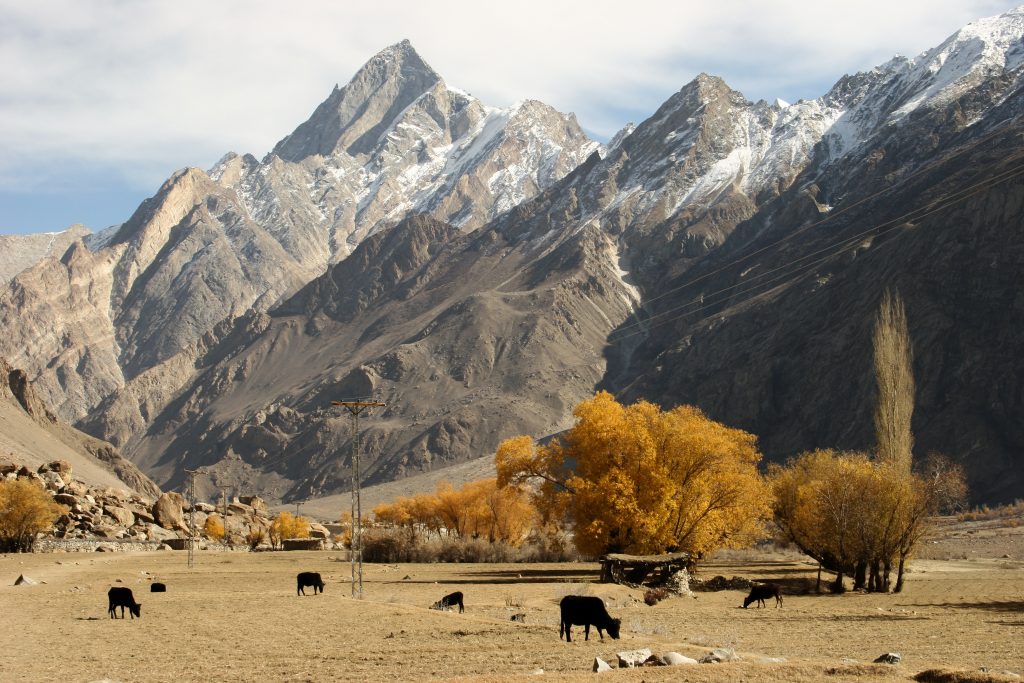 Foto @ Michele Locatelli