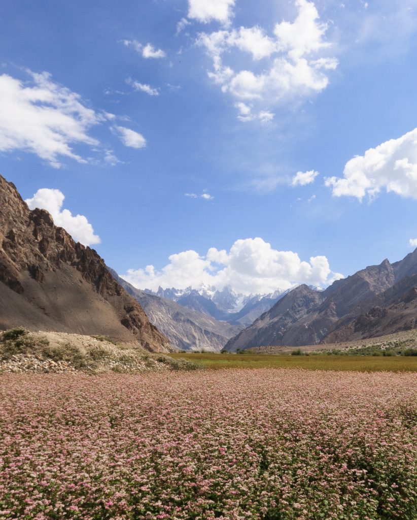 Foto @ Michele Locatelli