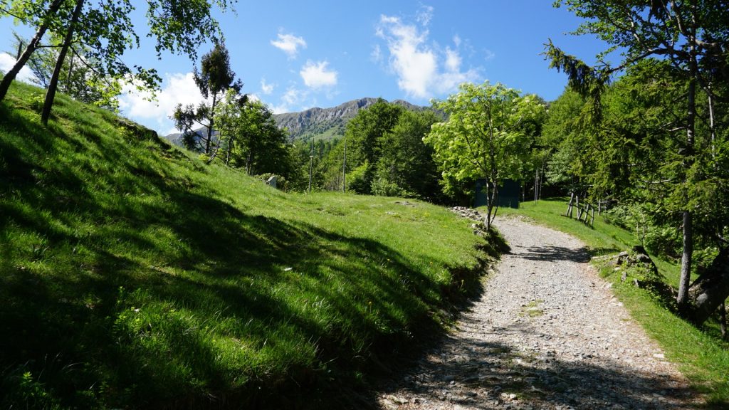 Monte Guglielmo. Foto FB Club Alpino Italiano