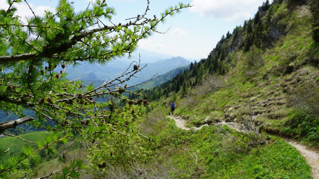 Monte Guglielmo. Foto FB Club Alpino Italiano