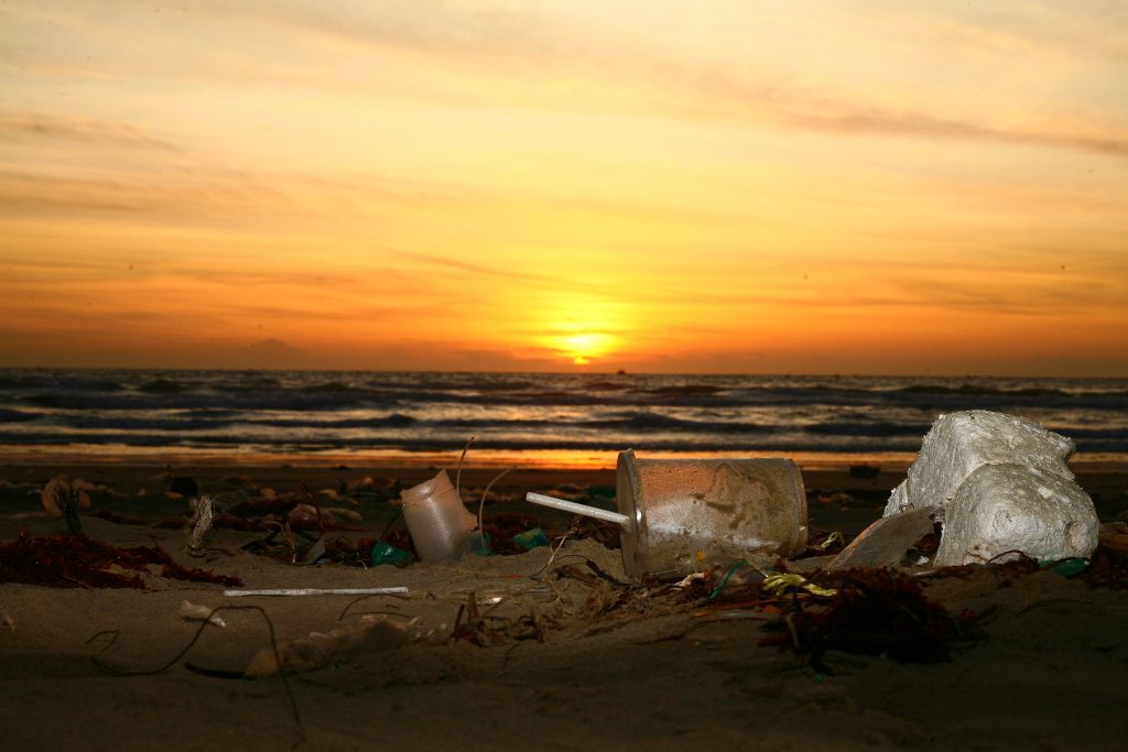 Plastica e inquinamento dei mari - Foto Sergei Tokmakov, Esq. @Pixabay
