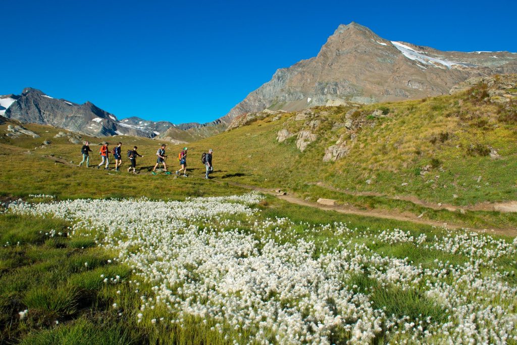 parco gran paradiso