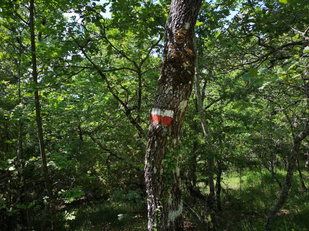 Umbria, sulle orme dei Baroni Franchetti - Foto FB Club Alpino Italiano