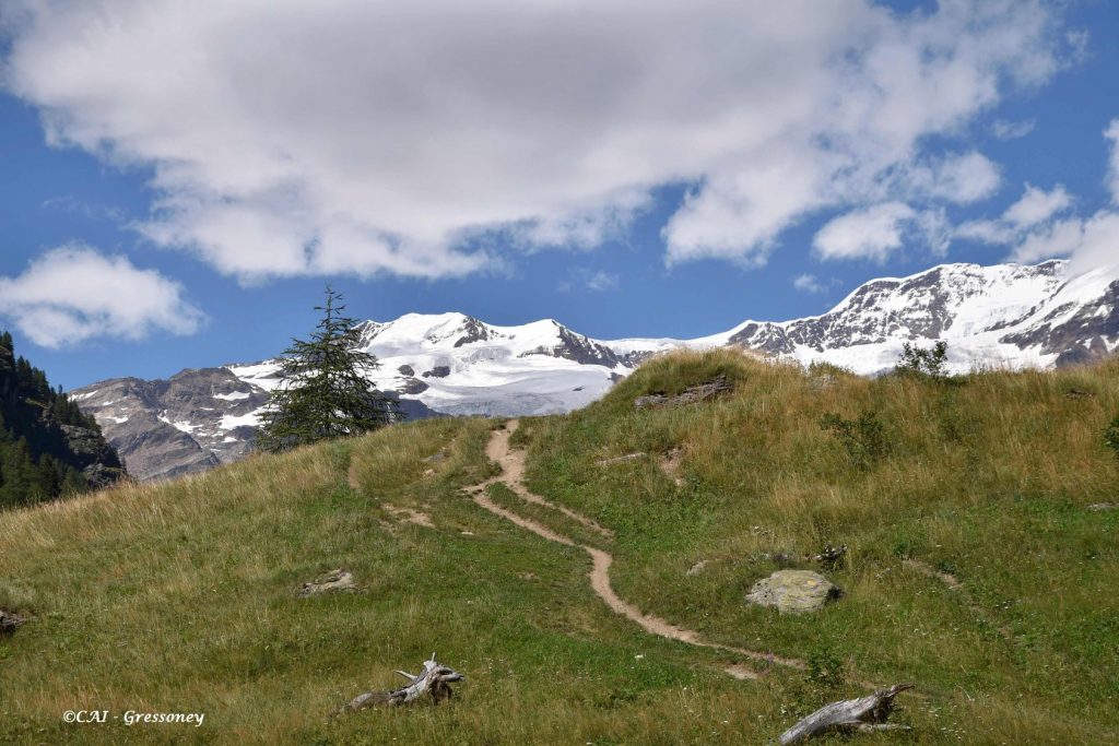 Valle di Gressoney, tra i villaggi Walser - Foto FB Club Alpino Italiano