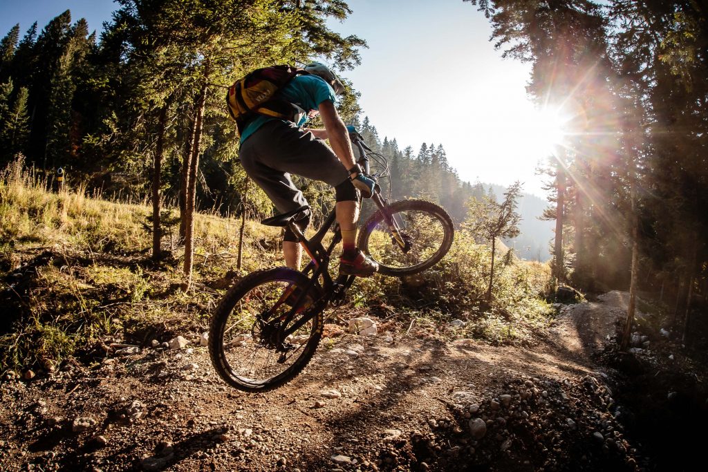 Foto Bike Park Paganella