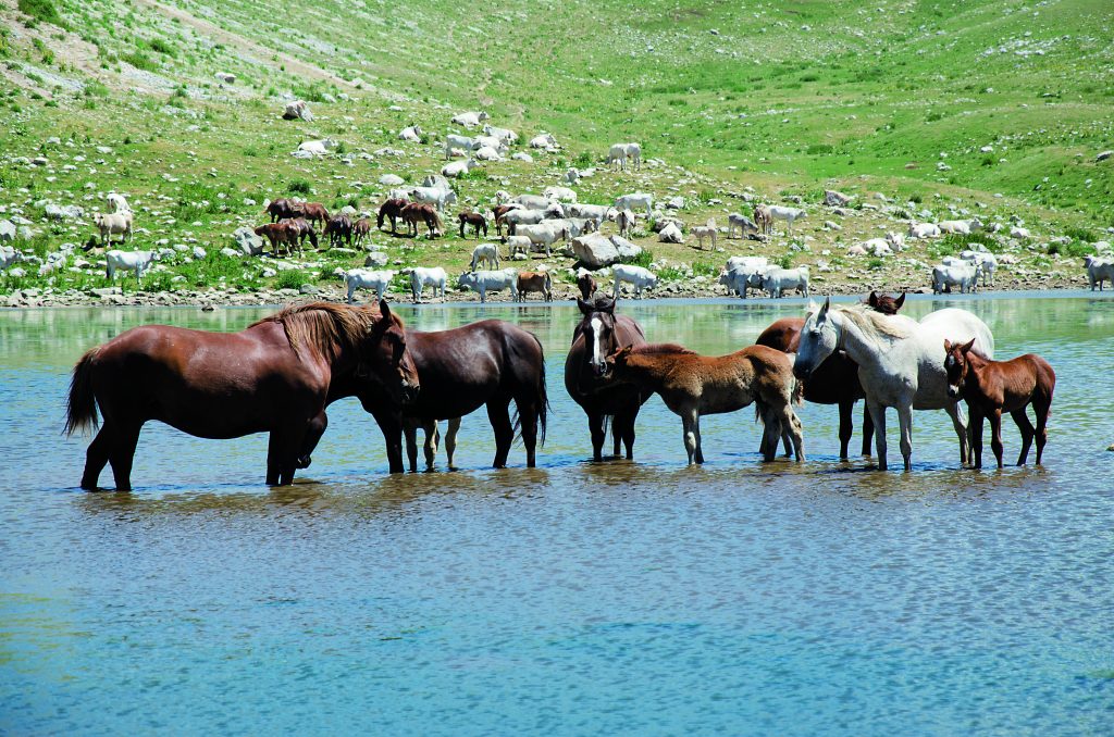 Lago della Duchessa. Foto @ Francesca Vanzetta