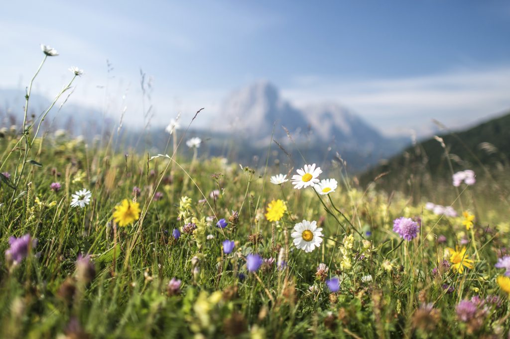 Val Gardena Foto @ Harald Wiesthaler