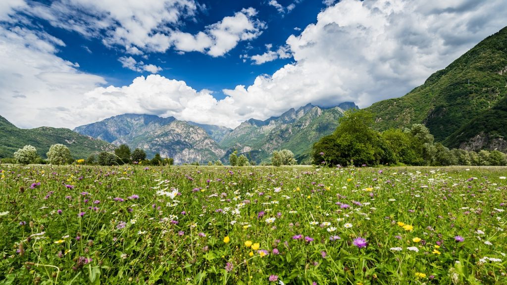 lombardia, valtellina