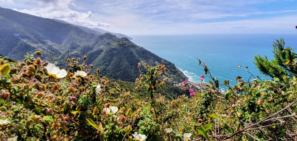 Foto FB Parco Nazionale delle Cinque Terre - Area Marina Protetta