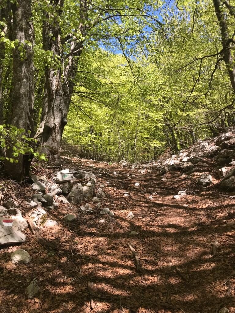 Pizzo Carbonara, Parco delle Madonie - Foto FB Club Alpino Italiano