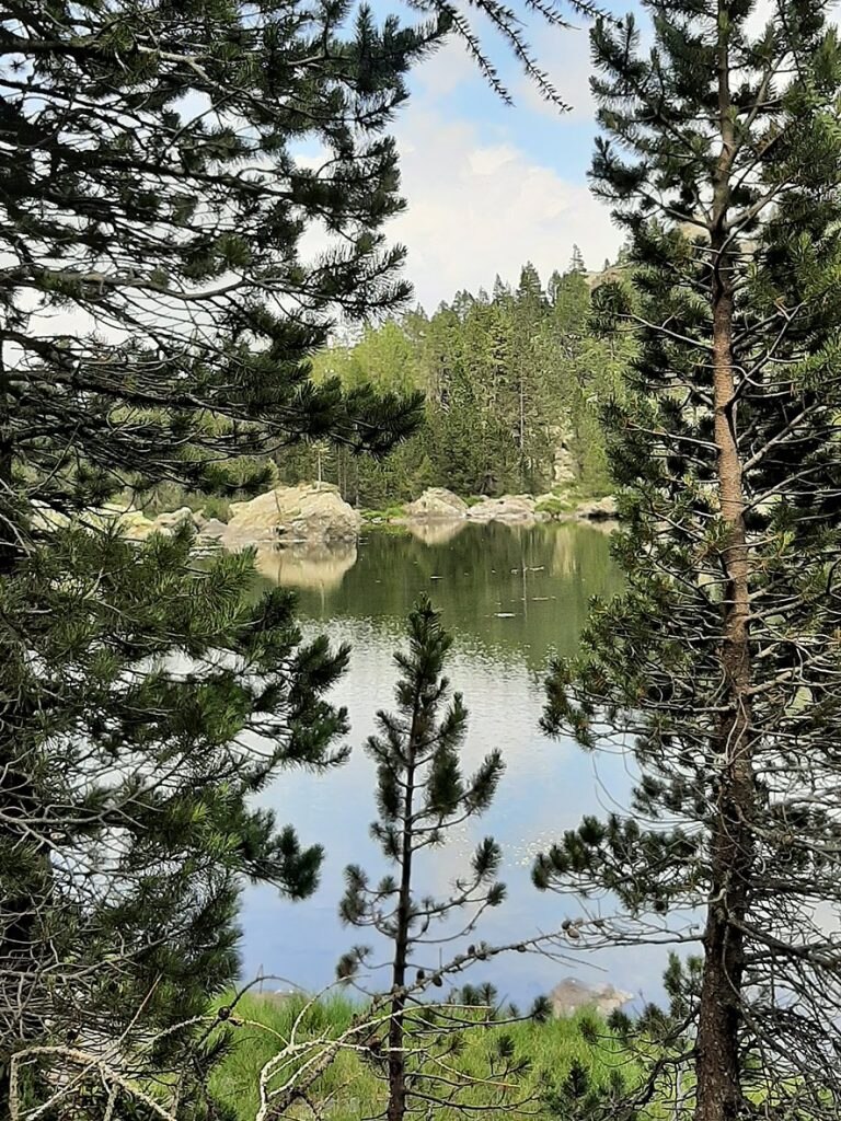 Valle d