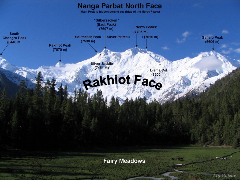 Vette sussidiarie del Nanga Parbat, dal versante Rakhiot - Foto Wikimedia Commons