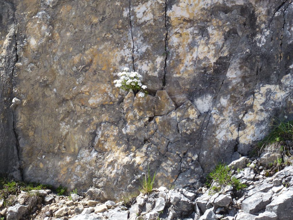 Toscana – Alpi Apuane Settentrionali, Anello del Borla – Foto FB Club Alpino Italiano
