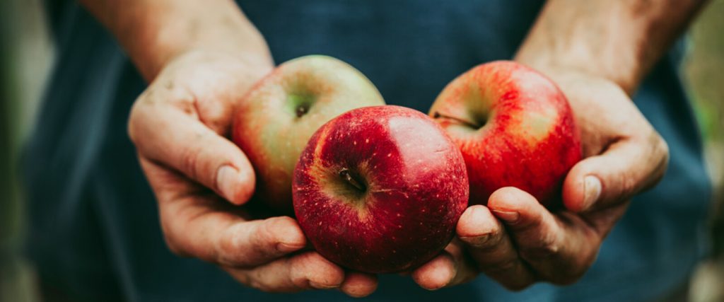 Quante sono le varietà di mele trentine? - Foto FB Trento Film Festival