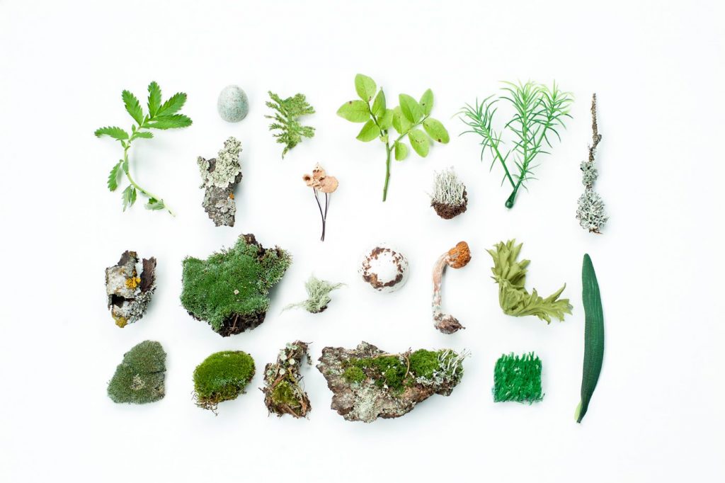 "On trees and woods" con Lorenzo Barbasetti di Prometheus_lab e franzLab.
Artwork di Irene Hopfgartner - Foto FB Trento Film Festival