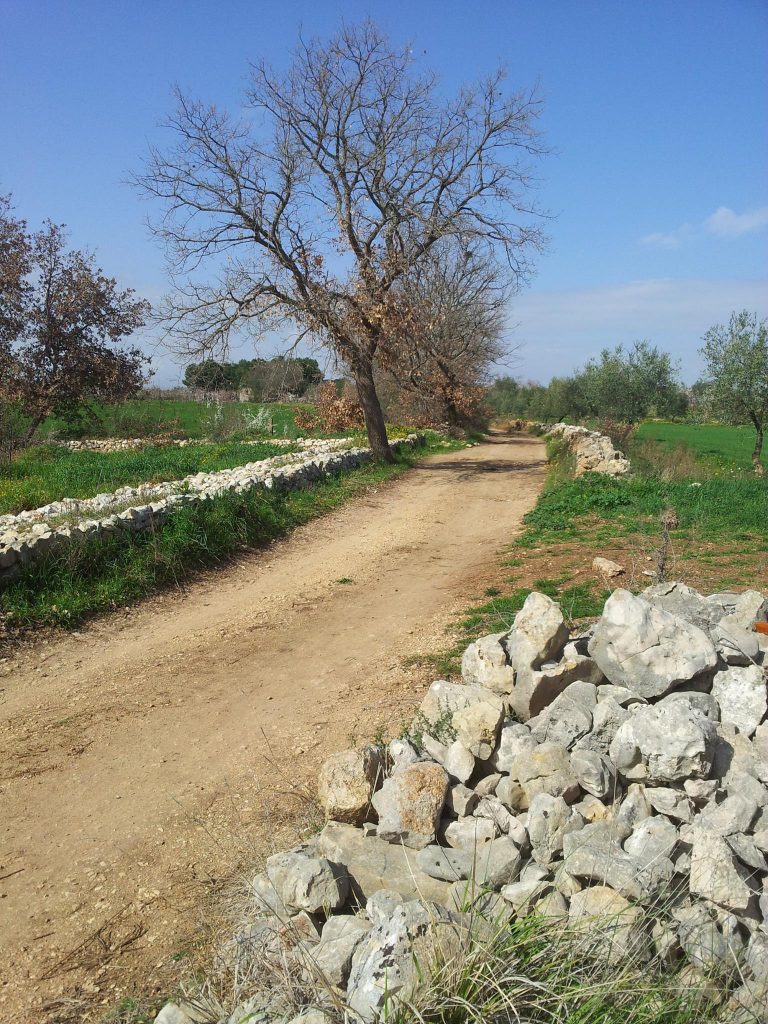 Tratturo della Murgia - Foto FB Paradisi di Puglia