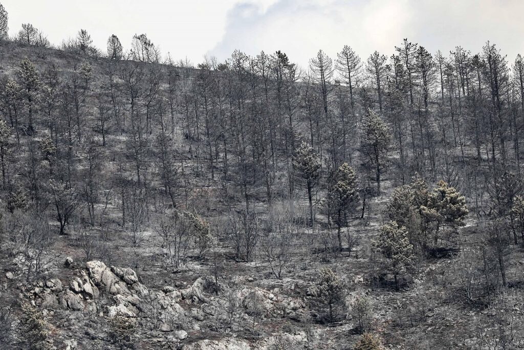 Incendi in Abruzzo - Foto ANSA / Emanuele Valeri