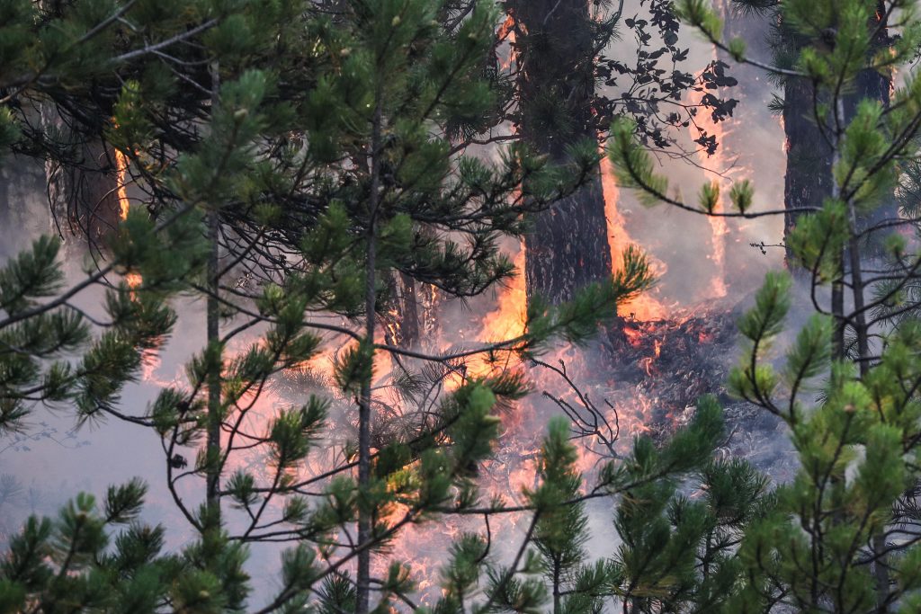 I vigili del fuoco in azione ad Arischia - Foto ANSA / Emanuele Valeri