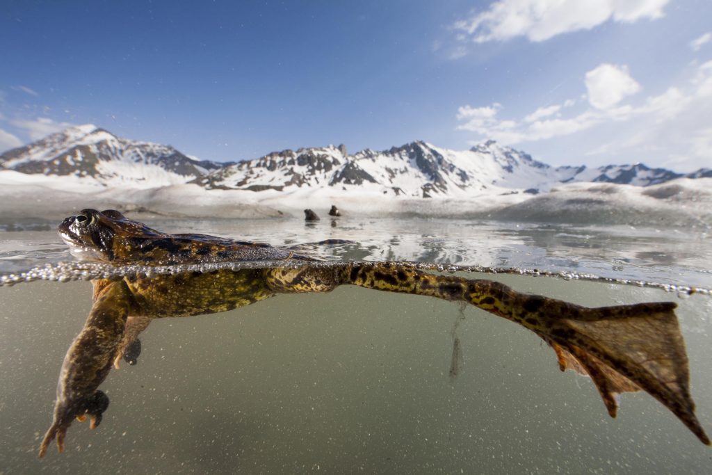 "Le plus beau pays du monde"