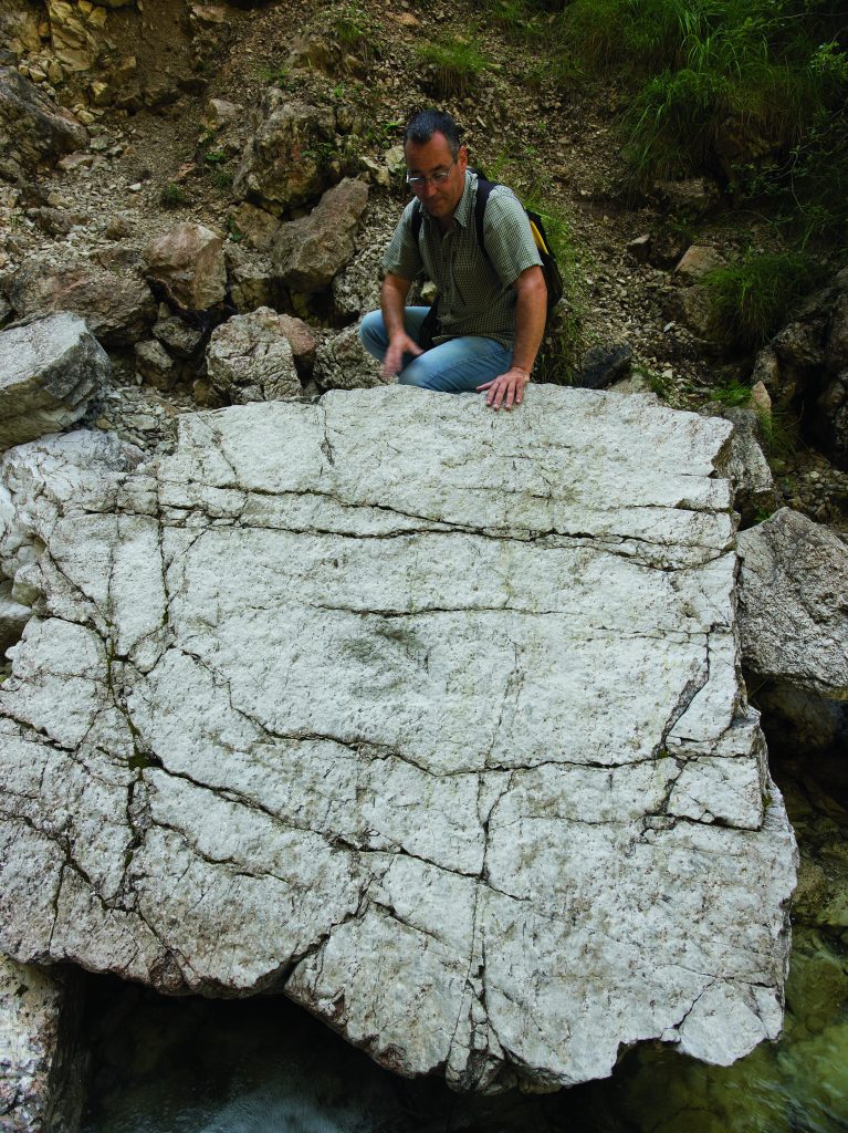 IMPRONTA DI DINOSAURO fossilizzata in dolomia presso Casera Casavento, nel Comune di Claut (Pordenone). È stata scoperta per caso nel 1994 e appartiene a un teropode vissuto 200 milioni di anni fa. Foto @ LBERTO CAMPANILE