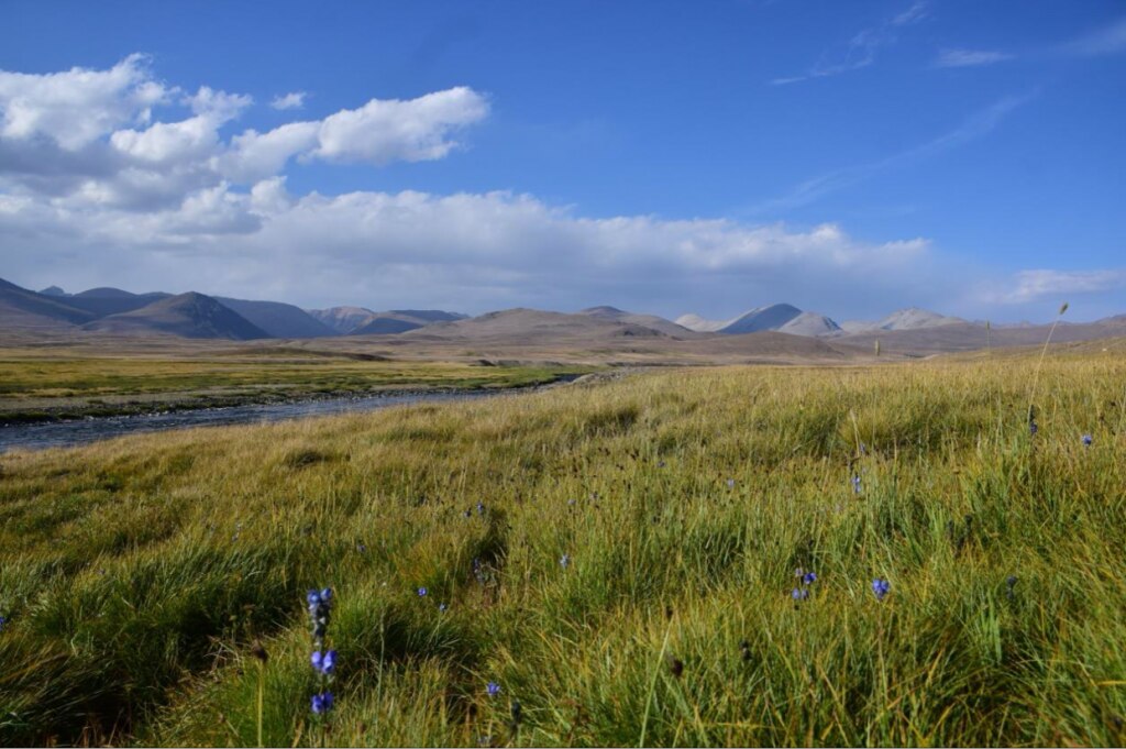 Parco del Deosai