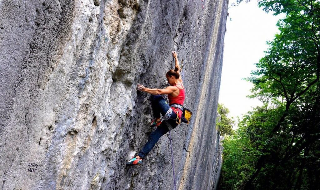 Foto FB Angelika Rainer 