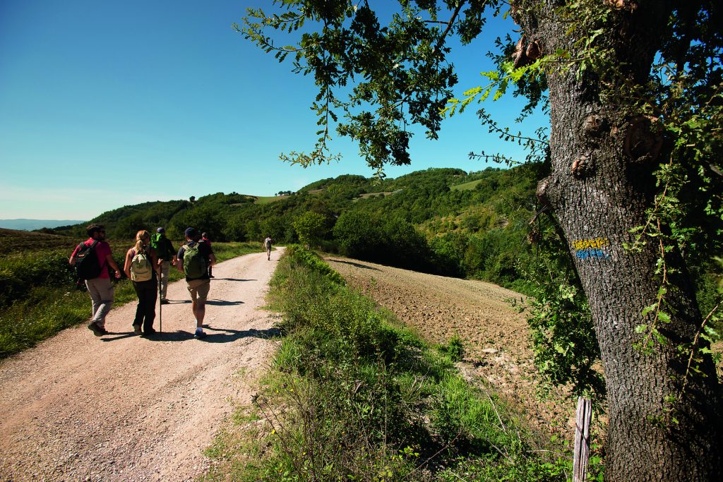 In cammino verso Assisi, guidati dai colori giallo-blu dipinti sui tronchi degli alberi o dalle paline con cartelli del medesimo colore. Foto @ VILUPPUMBRIA - FABRIZIO ARDITO