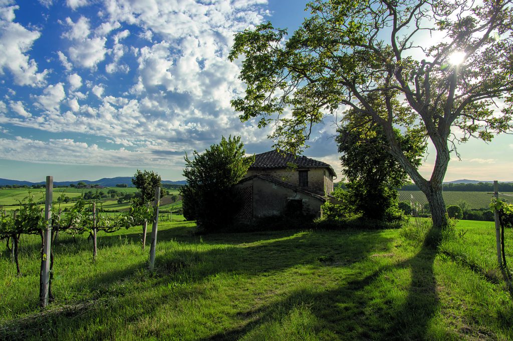 La campagna che si percorre per giungere a Perugia, una città fondamentale nella storia di Francesco. Lì, il giovane assisiate iniziò il percorso di conversione e ricevette da Onorio III il privilegio del Perdono della Porziuncola. Inoltre, l’itinerario da Perugia ad Assisi è stato teatro di numerosi episodi della vita del santo, tra cui il noto dialogo della Perfetta Letizia. Foto @ Regione Umbria