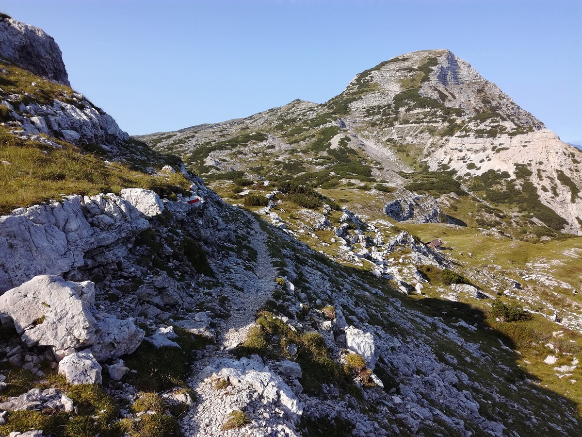 Foto @ wikimedia common