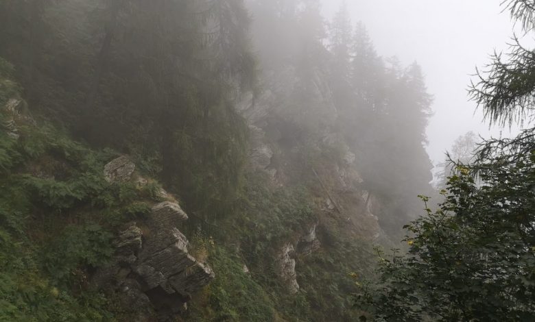meteo, estate