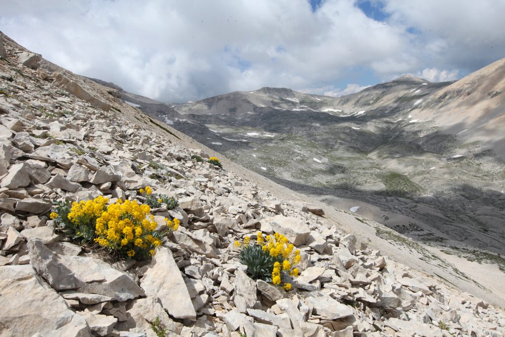 parco nazionale della majella, educazione alla montagna