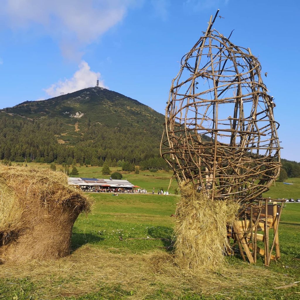 Woek in progress - Foto FB Francesco Avancini Franz