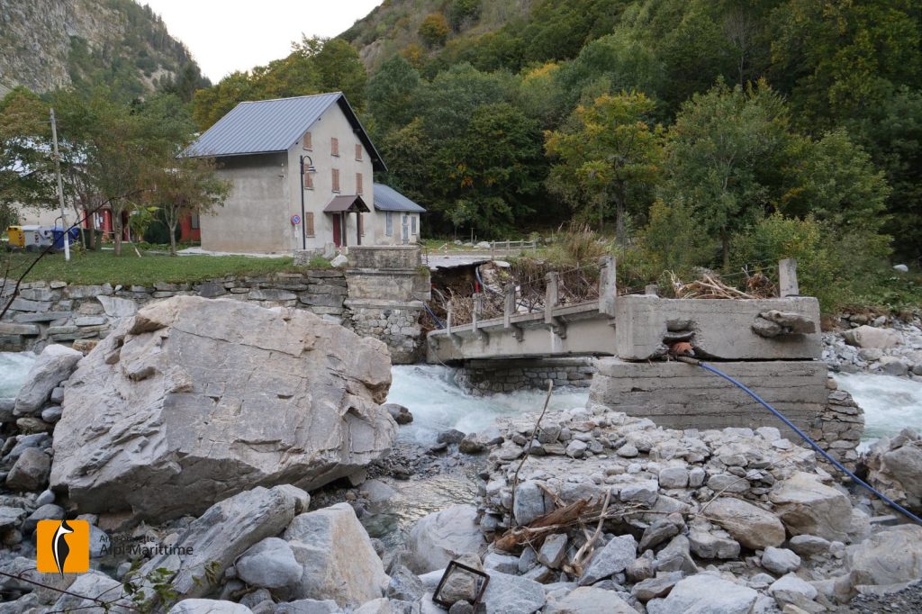Foto FB Aree Protette Alpi Marittime