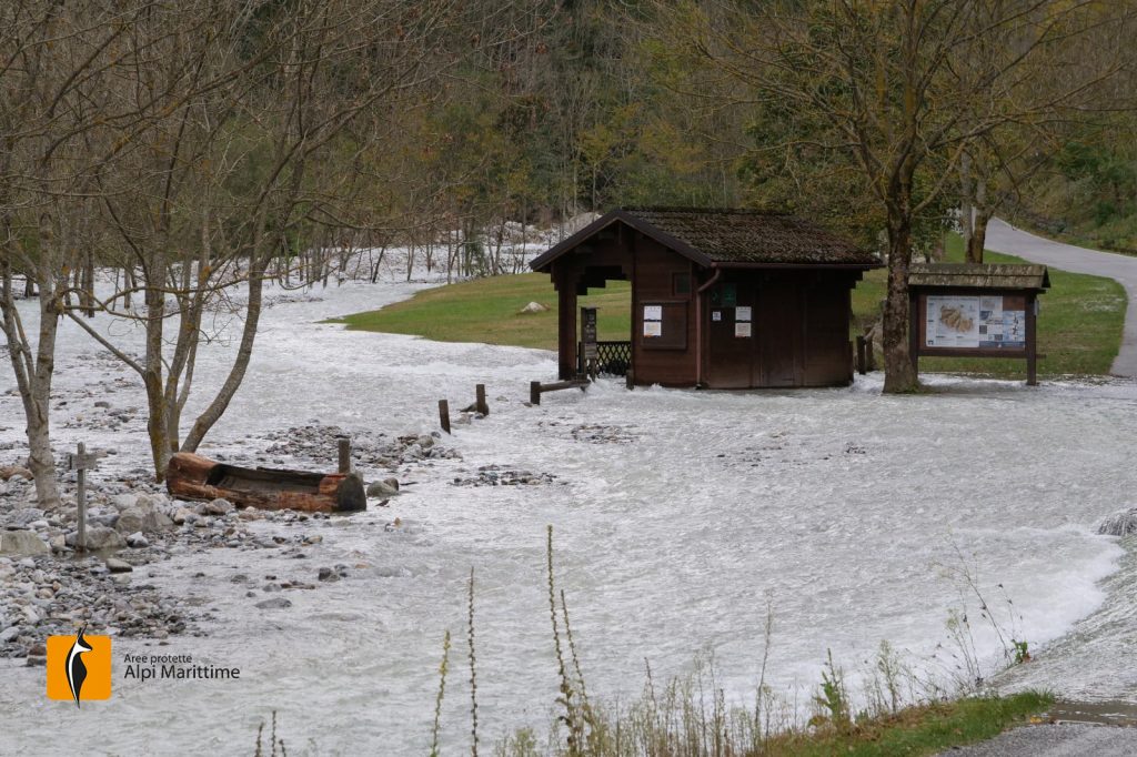 alpi marittime, alluvione