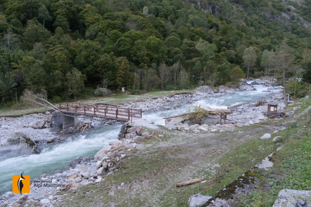 Foto FB Aree Protette Alpi Marittime