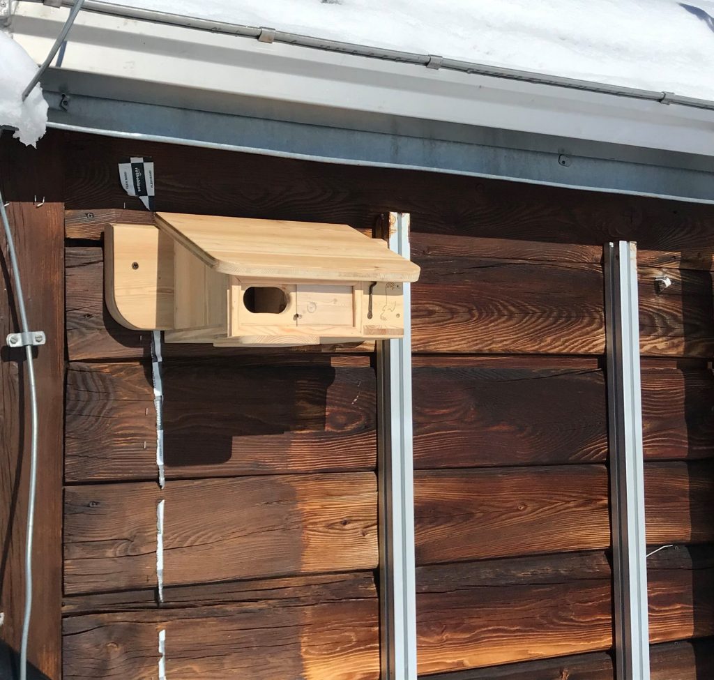 La cassetta-nido - Foto FB Club Alpino Italiano